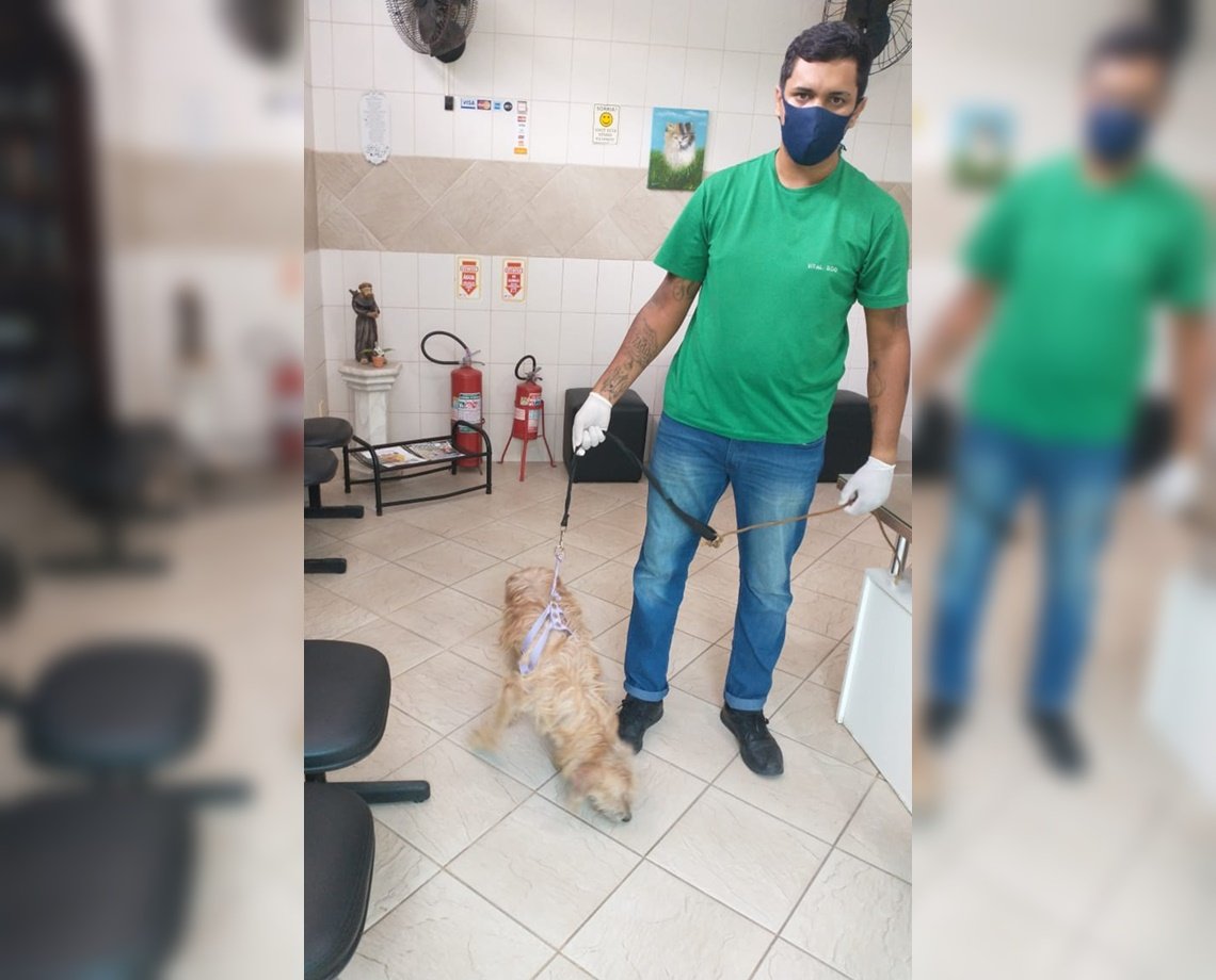 Cachorro Resgatado Ap S Ter Rg O Genital Cortado E Ser Abandonado Na