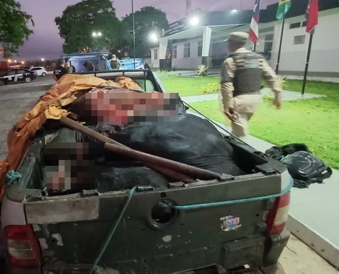 Só o filé dupla é presa em flagrante enquanto roubava gado para venda