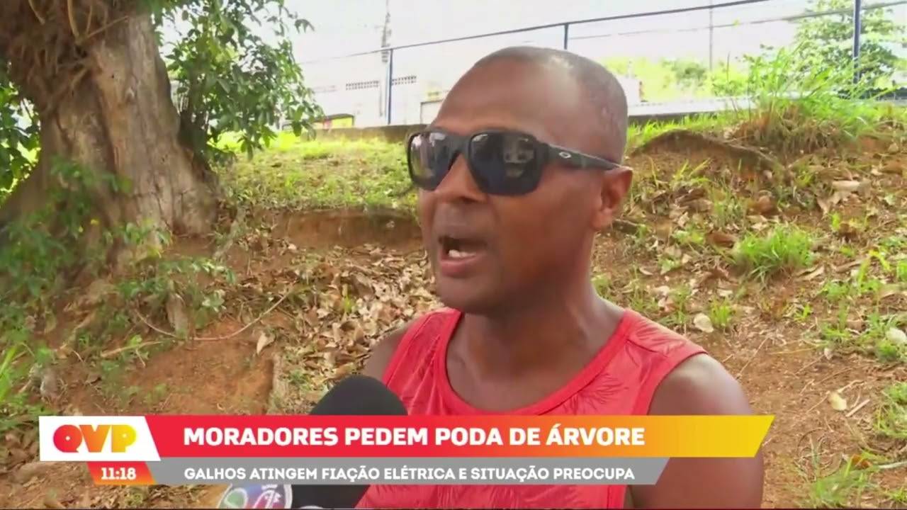 Moradores de Mussurunga pedem poda de árvore que atingiu fiação