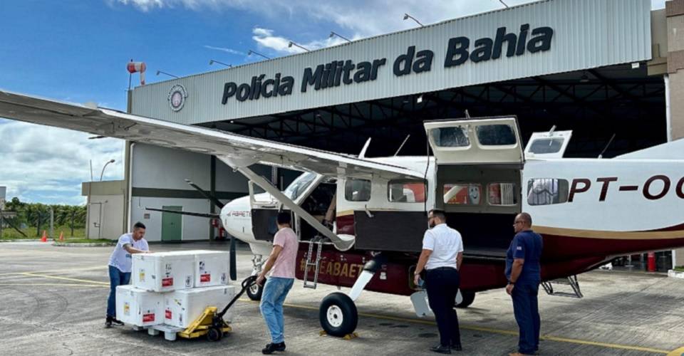 Mortes Por Dengue Na Bahia Mil Doses De Vacina S O Entregues