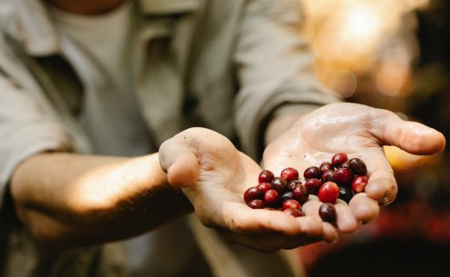 EventOOH do AgronegóciOOH - a relação entre o agro e a mídia