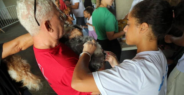 Vacina V10 para cães é oferecida gratuitamente no Parque da Cidade até sexta-feira (12)