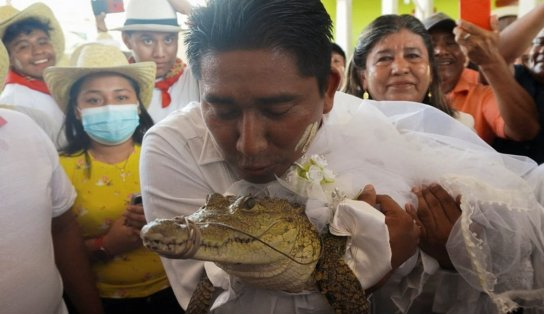 Prefeito mexicano se casa com jacaré vestido de noiva para garantir prosperidade; cerimônia faz parte de ritual antigo