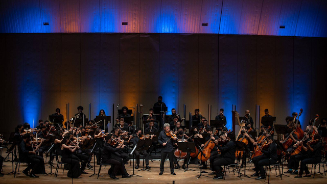 Violinista francês, criador de uma das melhores orquestras do mundo, se apresenta com o Neojiba em Salvador