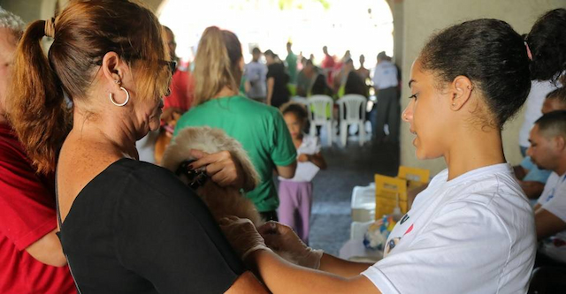 Pau da Lima terá aplicação de vacina V10 para cães até esta sexta-feira (17)