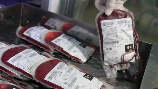 Campanhas incentivam doação de sangue antes do Carnaval