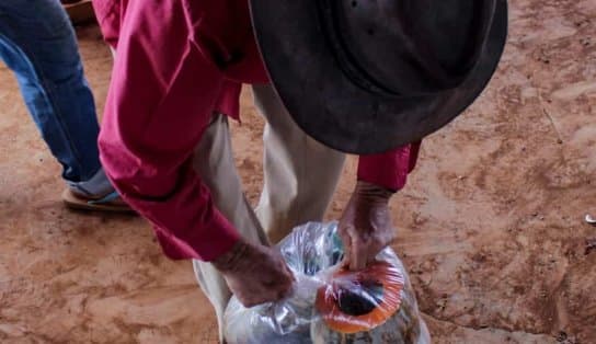 Vinte lavradores que trabalhavam como escravos são resgatados em fazenda de café na Bahia