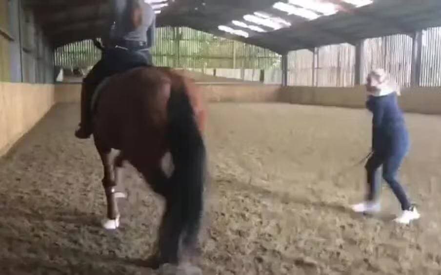 Maior atleta do esporte britânico é expulsa dos Jogos Olímpicos por maus-tratos em cavalo