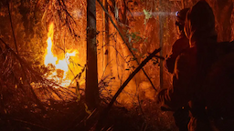 Trump suspende parceria de combate a incêndios no Brasil 