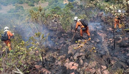 Incêndios florestais são eliminados em três regiões na Bahia