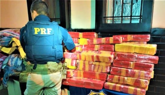 Dois homens são presos, e prejuízo de R$ 435 mil ao narcotráfico é causado na Bahia; veja vídeo 