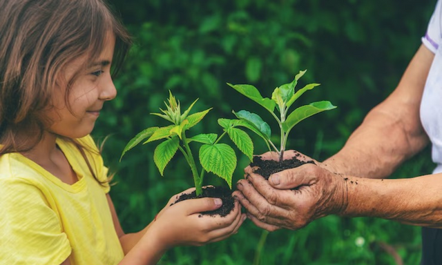 Dia Mundial da Educação Ambiental: projeto em Salvador incentiva reciclagem