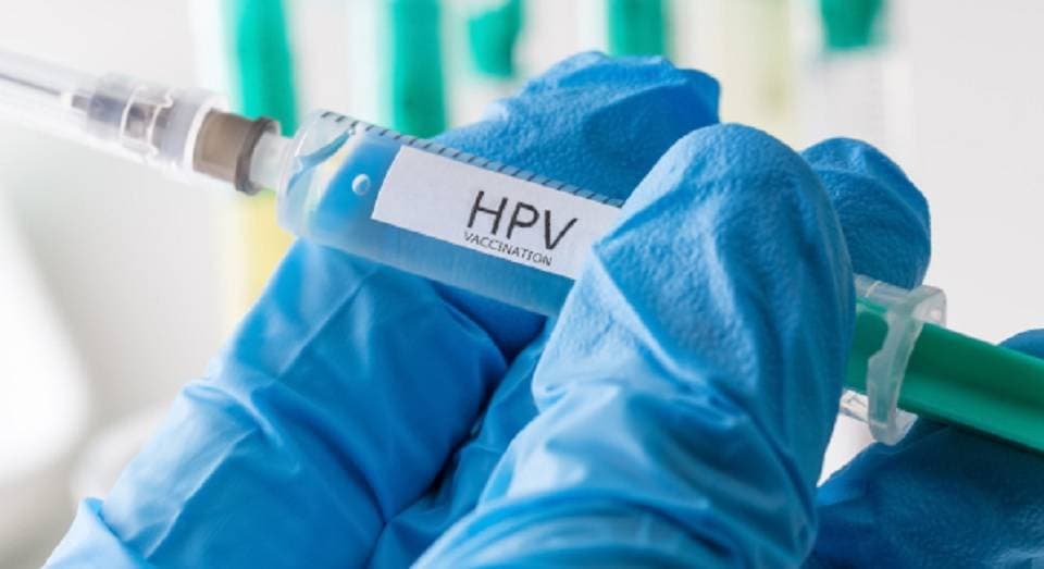 Dia de Conscientização: entenda riscos, manifestações e tratamento do HPV