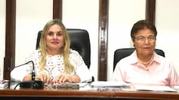 Governistas veem derrota de Fátima Nunes na AL-BA como culpa de Rosemberg