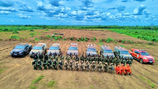 Quatro pessoas são presas em área com 120 mil pés de maconha na Bahia