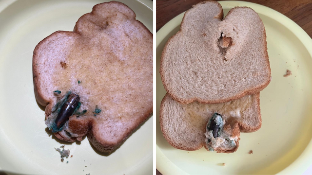 Mulher encontra bala de fuzil em pão de forma enquanto preparava lanche