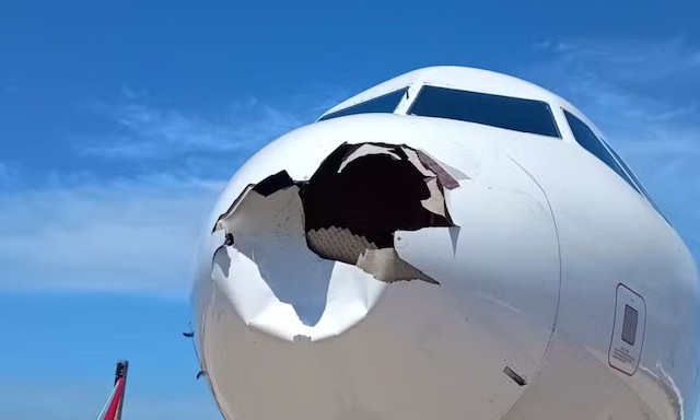 Avião colide com pássaro durante voo e retorna a aeroporto no Rio