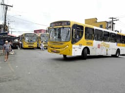 ônibus salvador