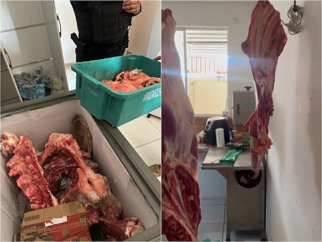 Mulher é presa por vender carne bovina roubada em açougue clandestino