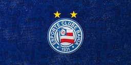 Bahia escudo