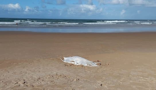 Corpo de mulher é encontrado em praia de Salvador; vítima não tinha sinais de afogamento