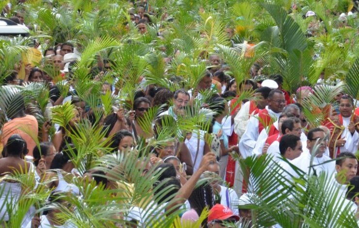 Domingo De Ramos: Procissão Relembra Entrada Triunfal De Jesus Em ...