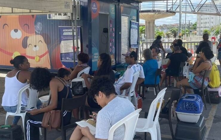 Prazo estendido: castramóvel prorroga atendimentos no Salvador Norte Shopping