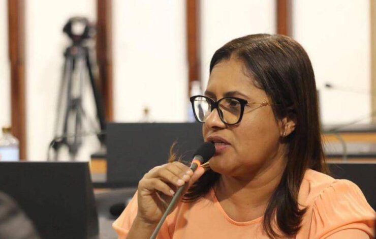 Deputada prop&otilde;e ao governo cria&ccedil;&atilde;o de programa estadual para capacita&ccedil;&atilde;o de mulheres em administra&ccedil;&atilde;o p&uacute;blica