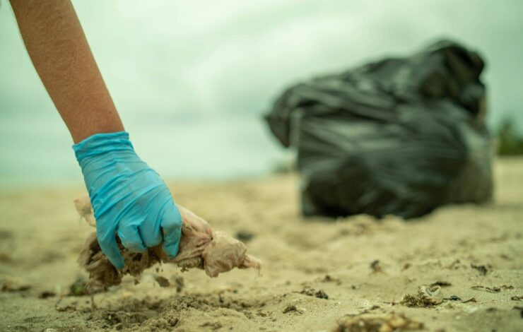 Projeto realiza ação de limpeza de praia da Ilha de Itaparica nesta quarta-feira (5)