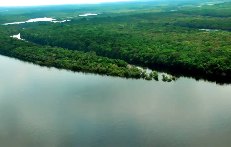 Desmatamento na Amazônia cai pelo 10º mês consecutivo em janeiro