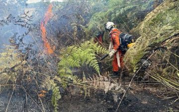 Cerca de 200 bombeiros militares combatem incêndios florestais na Bahia neste domingo