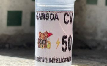 Com selo e identidade visual: tráfico em Salvador adota 'padrão' nas embalagens de drogas